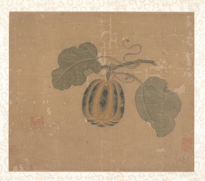 Courge - Unbekannt