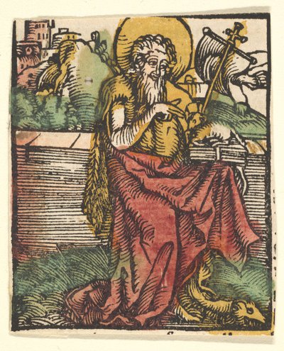 Saint Jean-Baptiste copie, après 1511 - Unbekannt