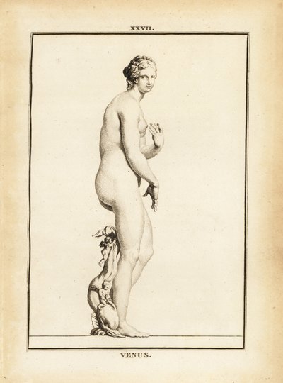 Statue de Vénus, déesse romaine de l