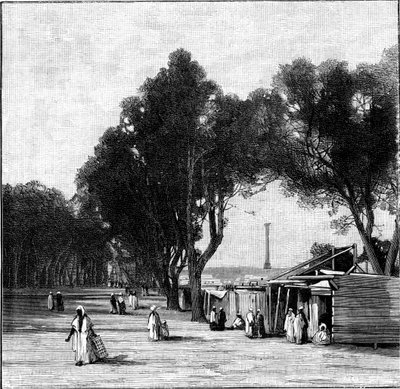 Scène de rue avec la colonne de Pompée au loin, Alexandrie, Égypte, 1900 - Unbekannt