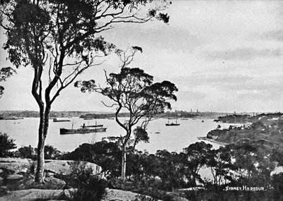 Port de Sydney, depuis Cremorne Point, vers 1900 - Unbekannt