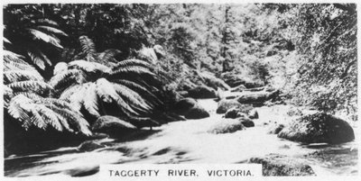 Rivière Taggerty, Victoria, Australie, 1928 - Unbekannt