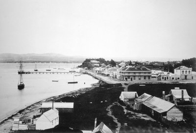 Tauranga, Baie de l