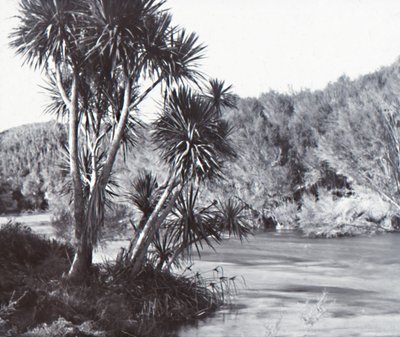 La rivière Te Waihou, Okoroire - Unbekannt
