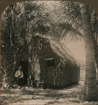 Chaumière dans le Cocoanut Grove, Floride, États-Unis - Unbekannt