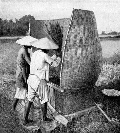 La manière annamite de récolter et battre le riz, Annam, Vietnam, 1922 - Unbekannt