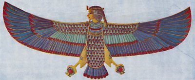 Le pectoral de l