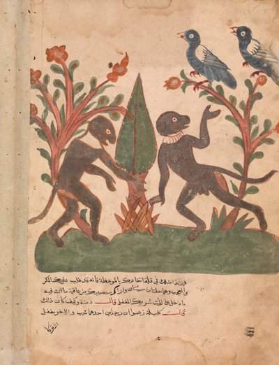 Les oiseaux et les singes avec le ver luisant, folio d