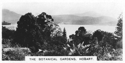 Les jardins botaniques, Hobart, Tasmanie, 1928 - Unbekannt