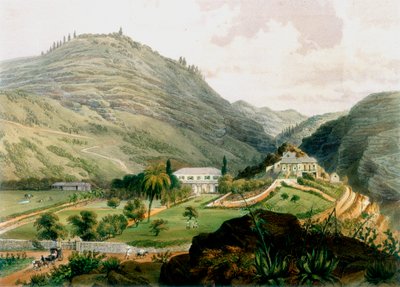 Les Briars, Sainte-Hélène, début du 19ème siècle 1851 - Unbekannt