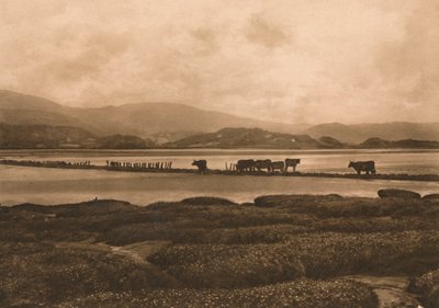 Le Dovey à Ynyslas, 1902 - Unbekannt