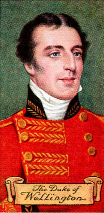 Le duc de Wellington, tiré d