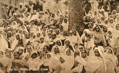 Les belles demoiselles de Sippi, Simla, vers 1918-1939 - Unbekannt