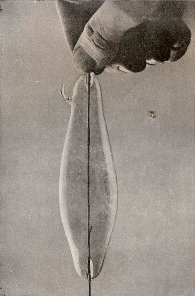 La première lampe électrique à incandescence, vers 1916 - Unbekannt