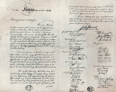 La copie Fitzwilliam de la Pétition du rameau d