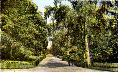 La promenade des fleurs, Kensington Gardens, Londres, 20e siècle - Unbekannt
