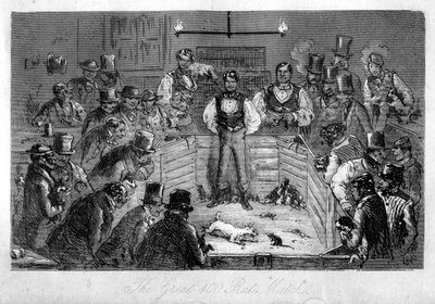 Le grand match des 100 rats, XIXe siècle - Unbekannt