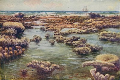 La Grande Barrière de Corail, 1923 - Unbekannt