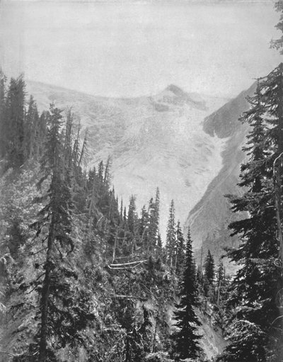 Le Glacier Illicilliwaet, 19ème siècle - Unbekannt