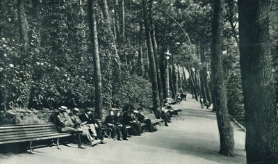 La promenade des invalides, vers 1910 - Unbekannt