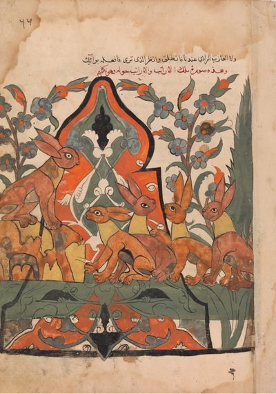Le Roi des lièvres en conseil avec ses sujets, Folio d