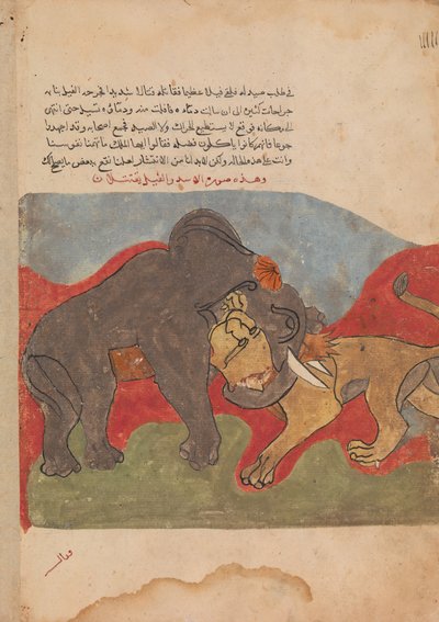Le Lion et l