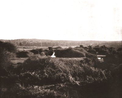 La Nouvelle Forêt, Hampshire, 1894 - Unbekannt