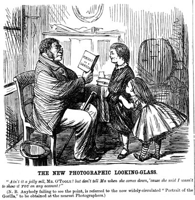 Le Nouveau Miroir Photographique, caricature de Punch, preuve quotidienne des origines de l