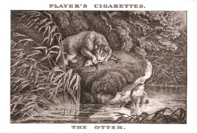 La Loutre, 1924 - Unbekannt
