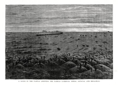 Le chemin de fer des Pampas, basses terres d