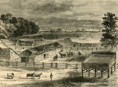 Le lieu d