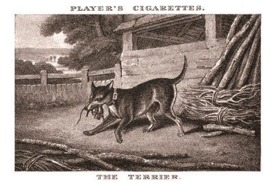Le Terrier, 1924 - Unbekannt