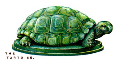 La Tortue - Unbekannt
