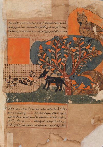 Le chat piégé et la souris effrayée, Folio de Kalila wa Dimna, 18ème siècle - Unbekannt