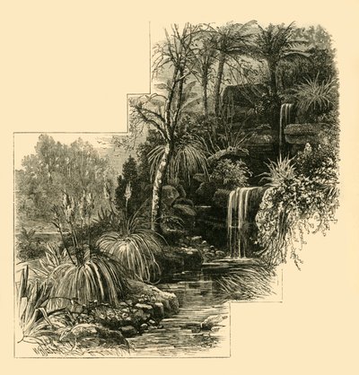 Les Jardins Tropicaux, Battersea Park, vers 1878 - Unbekannt