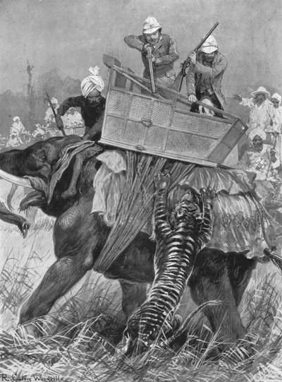 La visite du prince de Galles en Inde, 1876 : L