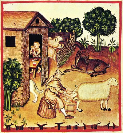 La production de fromage. Une miniature du Tacuinum Sanitatis, seconde moitié du 14e siècle - Unbekannt
