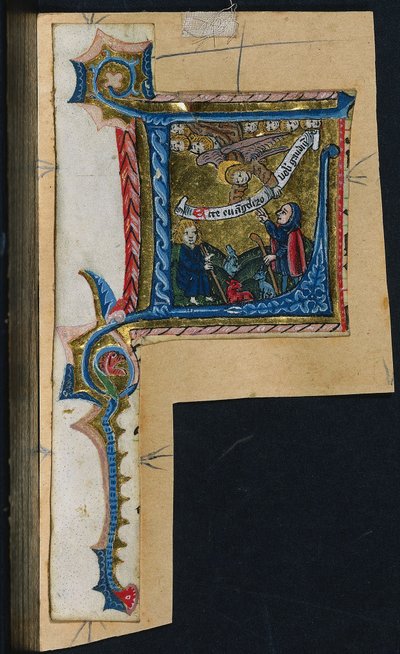 Trois découpes d