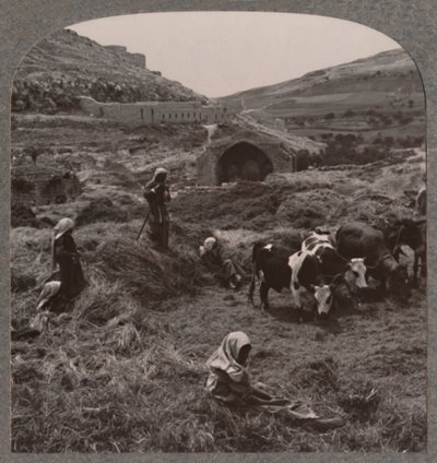 Battage du grain près du puits de Jacob, vers 1900 - Unbekannt