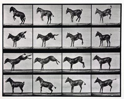 Photographies en accéléré d