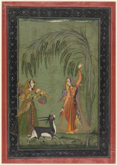 Todi Ragini, d