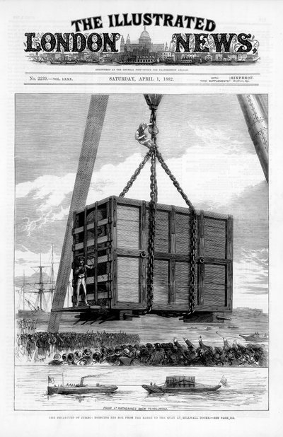 Transport de Jumbo l