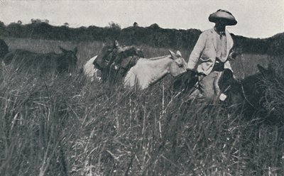 Voyage sur les Pampas, 1916 - Unbekannt