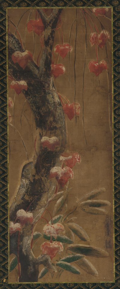 Arbre, vigne d