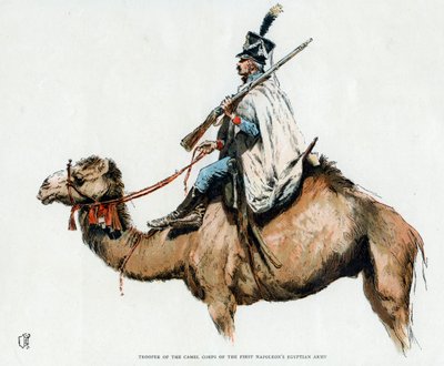 Cavalier du corps de chameaux de la première armée égyptienne de Napoléon, années 1790, 20e siècle - Unbekannt