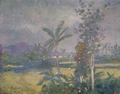 Pluies tropicales aux Antilles, 1924 - Unbekannt