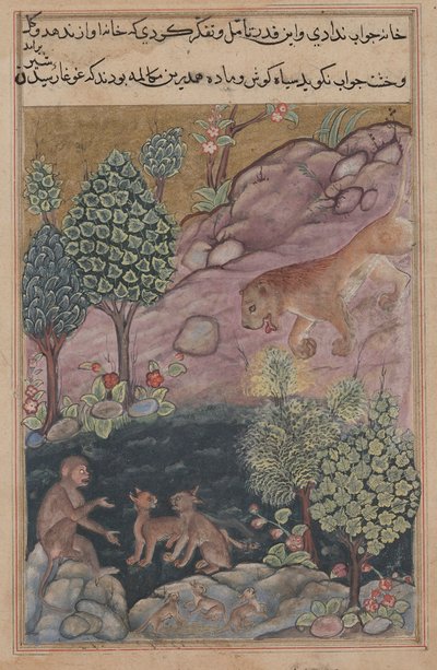 Tuti-Nama Contes d