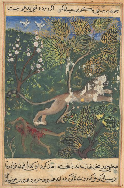 Tuti-Nama Contes d