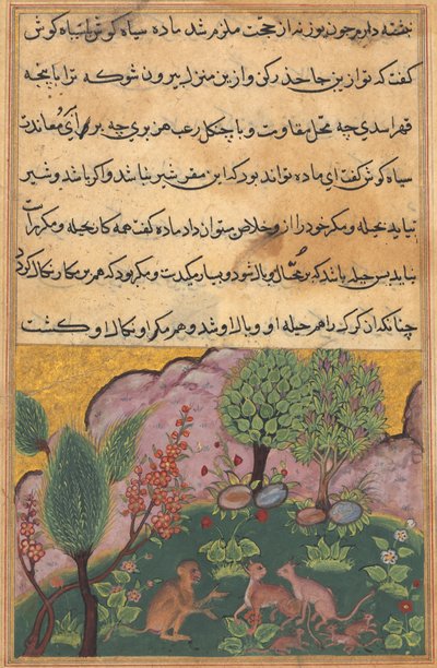 Tuti-Nama Contes d