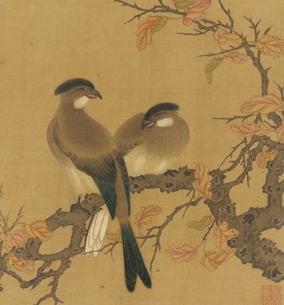 Deux oiseaux huppés sur une branche, feuilles d
